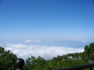 �V�x�m�܍��ڂ���̉_�C