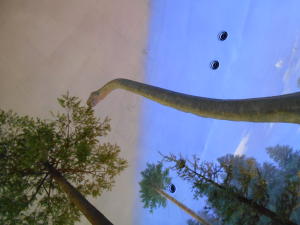 首が長いブロントザウルスだと思う