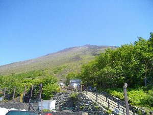 �܍��ڂ���̕x�m�R