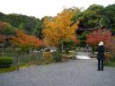 池の周りの紅葉