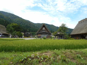水田と山の中の合掌造り