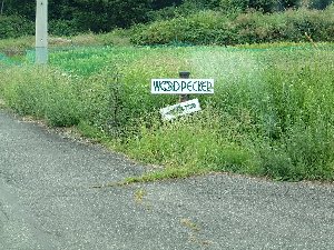 �����Ȉē�