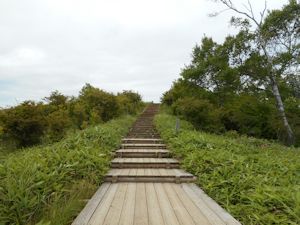 山頂への階段
