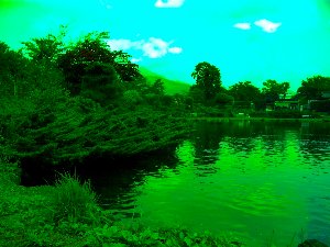 �J��������