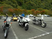 清見庵駐車場着