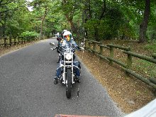 松並木の街道を走る