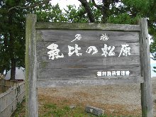 気比の松原看板