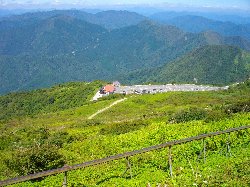 駐車場を見下ろす
