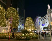 駅前のイルミネーション