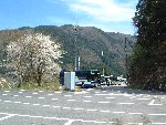 うすずみ桜駐車場