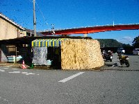 紀伊長島漁港の魚屋