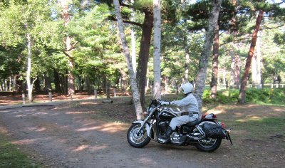 愛馬でスタート 愛馬でスタート