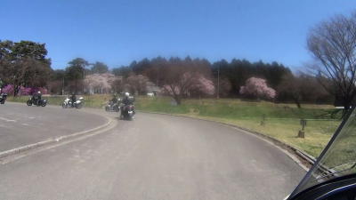 周りはキャンプサイト