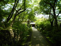 木々に囲まれて本殿が見えた