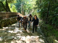 杖を突いて石段を上がるメンバー達