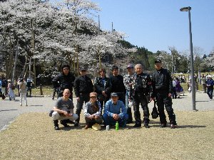 淡墨桜をバックに撮影