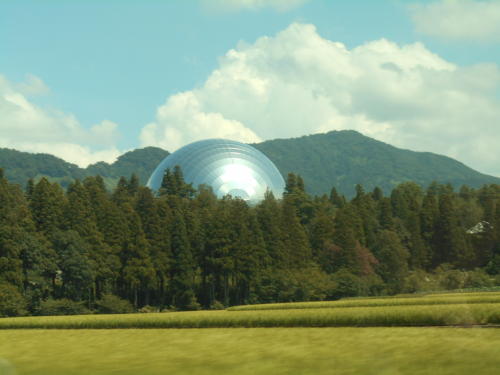 出たぁ～モスラの玉子？