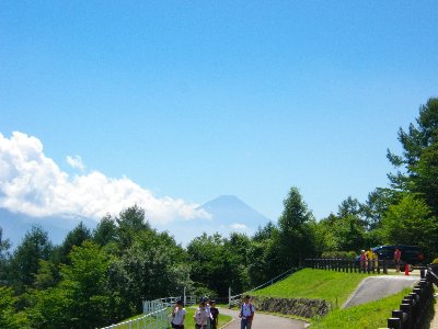 牧場公園から観る富士山 牧場公園から観る富士山