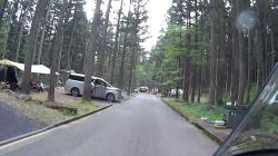 主要通路に出た