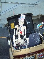 青ちゃんの相棒アーサーくん