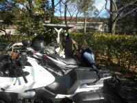 皆さん集まって来ます