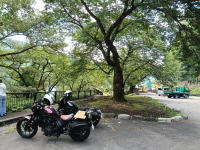 荘川桜駐車場