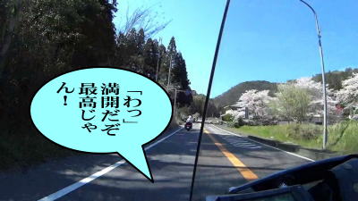 桜並木が点在する 桜並木が点在する