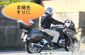 亀さんも帰ります