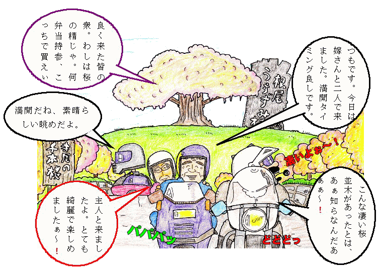 根尾、関桜巡りイラスト 根尾、関桜めぐりイラスト