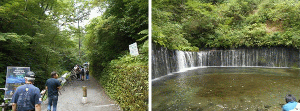 白糸の滝 白糸の滝