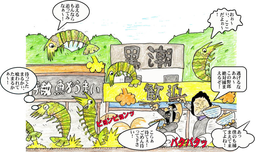 活きエビとの闘いイラスト 活きエビとの闘いイラスト
