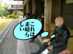 見とれる仲間達