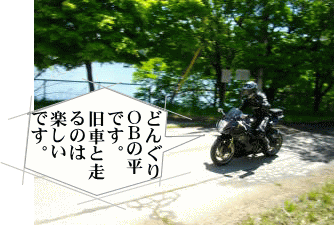 どんぐりの平さん