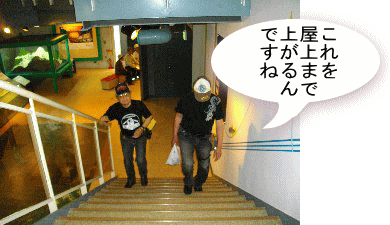 上へと上がる皆さん