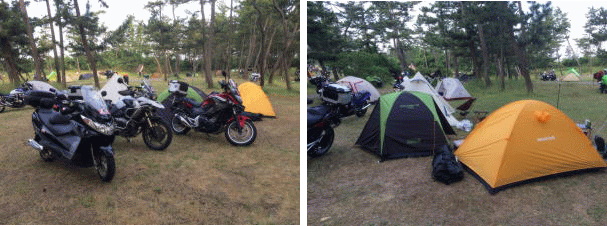 キャンプ場の朝 キャンプ場の朝