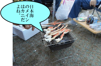 日本海のメインのカニ