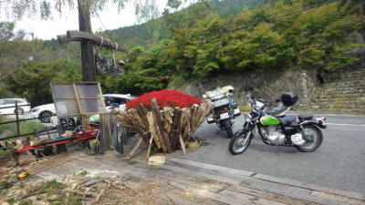 ライダーにも人気の店だ ライダーにも人気の店だ