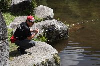 様子を見るトラ親父さん