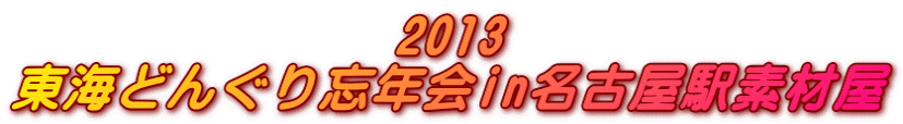 2013 東海どんぐり忘年会in名古屋駅素材屋