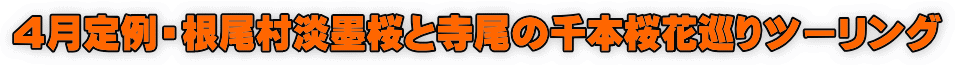 4月定例・根尾村淡墨桜と寺尾の千本桜花巡りツーリング