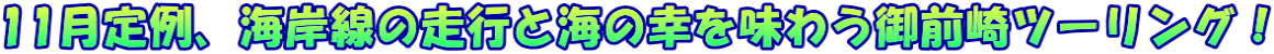 11月定例、海岸線の走行と海の幸を味わう御前崎ツーリング!