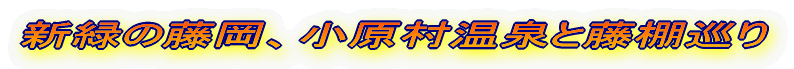 新緑の藤岡、小原村温泉と藤棚巡り
