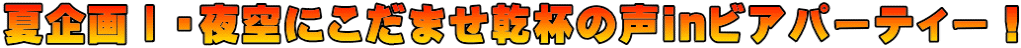 夏企画Ⅰ・夜空にこだませ乾杯の声inビアパーティー！