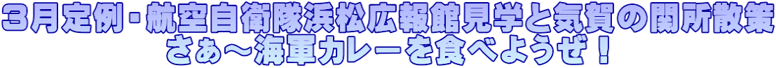 3月定例・航空自衛隊浜松広報館見学と気賀の関所散策 さぁ~海軍カレーを食べようぜ!