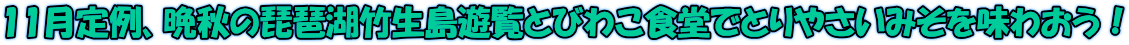 11月定例、晩秋の琵琶湖竹生島遊覧とびわこ食堂でとりやさいみそを味わおう！