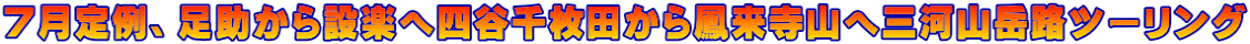 ７月定例、足助から設楽へ四谷千枚田から鳳来寺山へ三河山岳路ツーリング