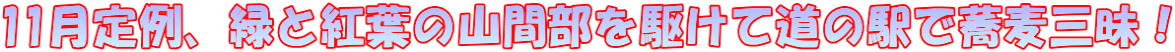 11月定例、緑と紅葉の山間部を駆けて道の駅で蕎麦三昧!