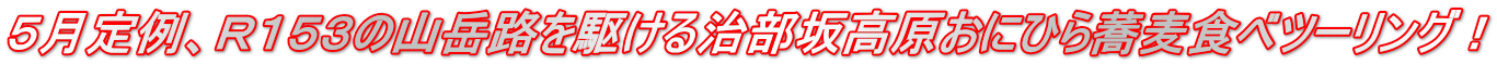 5月定例、R153の山岳路を駆ける治部坂高原おにひら蕎麦食べツーリング!