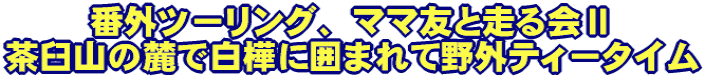 番外ツーリング、ママ友と走る会U 茶臼山の麓で白樺に囲まれて野外ティータイム