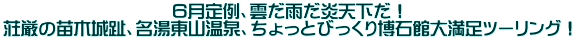 6月定例、雲だ雨だ炎天下だ! 荘厳の苗木城趾、名湯東山温泉、ちょっとびっくり博石館大満足ツーリング!